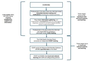 Flowchart showing the steps involved in the Child Death Review process from the point at which a child dies,